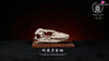 Original Bone Series Vatanus komodoensis & Panthera uncia & Gorilla Licensed Statue - Aphid Studio [Pre-Order] Deposit