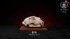 Original Bone Series Vatanus komodoensis & Panthera uncia & Gorilla Licensed Statue - Aphid Studio [Pre-Order] Deposit