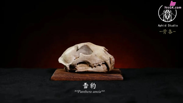 Original Bone Series Vatanus komodoensis & Panthera uncia & Gorilla Licensed Statue - Aphid Studio [Pre-Order] Deposit