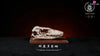 Original Bone Series Vatanus komodoensis & Panthera uncia & Gorilla Licensed Statue - Aphid Studio [Pre-Order] Deposit