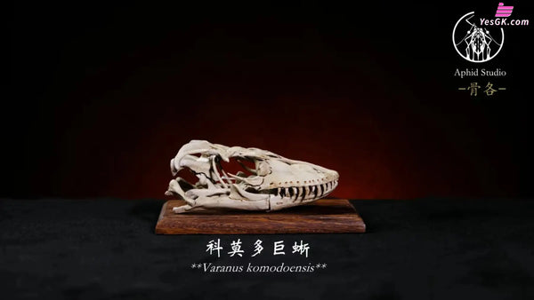 Original Bone Series Vatanus komodoensis & Panthera uncia & Gorilla Licensed Statue - Aphid Studio [Pre-Order] Deposit