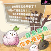 Original Farm Series Allium Sativum Bird Is Not A Big Deal Resin Statue - Animal Bangbang Studio