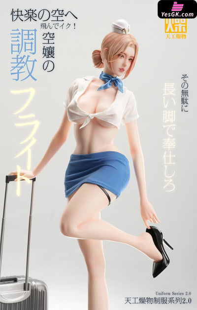 Original Flight Attendant 2.0 1/4 Statue (Licensed) - TGZW Studio [Pre-Order Closed] - Full Payment / Main Body