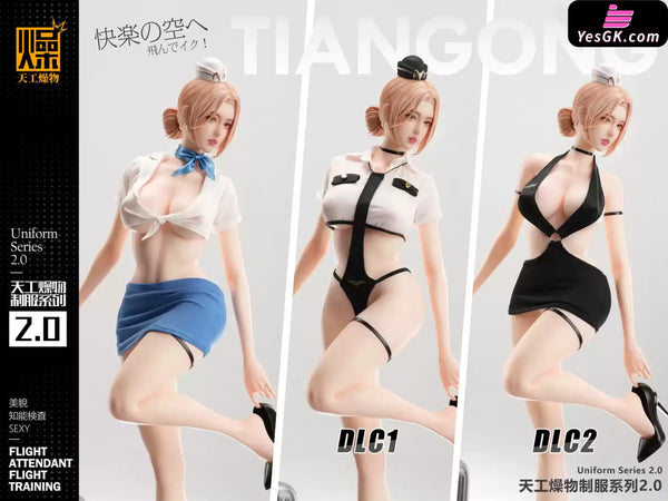 Original Flight Attendant 2.0 1/4 Statue (Licensed) - TGZW Studio [Pre-Order Closed] - Full Payment / Main Body + DLC 1