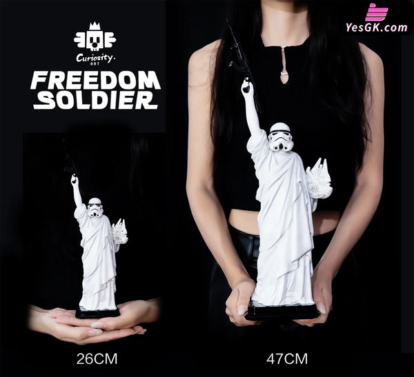 Original Freedom Fighter & Freedom Soldier Statue - WeArtDoing Studio