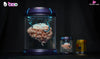 Original Future Technology Fantasy World Brain Statue - ODD Studio [In-Stock] - Original Design