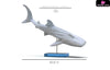 Original No Series Blue Whale Shark Statue - Relife Studio [Pre-Order] Design