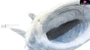 Original No Series Blue Whale Shark Statue - Relife Studio [Pre-Order] Design