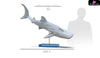 Original No Series Blue Whale Shark Statue - Relife Studio [Pre-Order] Design