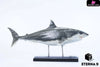 Original Ocean Life Series Shark Model (Licensed) Art Toys - E9 Studio [Pre-Order] Deposit Original Design