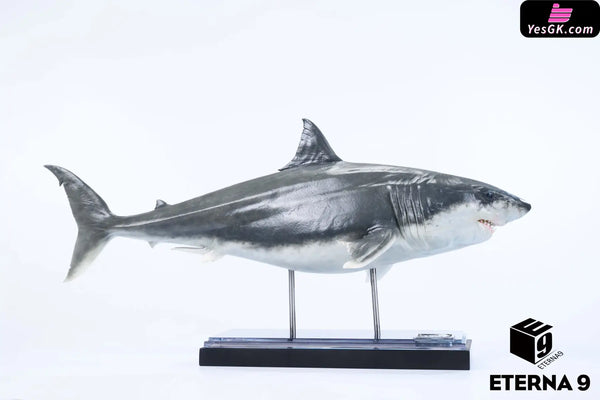 Original Ocean Life Series Shark Model (Licensed) Art Toys - E9 Studio [Pre-Order] Deposit Original Design