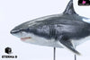 Original Ocean Life Series Shark Model (Licensed) Art Toys - E9 Studio [Pre-Order] Original Design