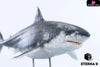 Original Ocean Life Series Shark Model (Licensed) Art Toys - E9 Studio [Pre-Order] Original Design