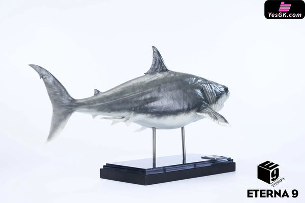 Original Ocean Life Series Shark Model (Licensed) Art Toys - E9 Studio [Pre-Order] Original Design