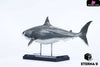Original Ocean Life Series Shark Model (Licensed) Art Toys - E9 Studio [Pre-Order] Original Design