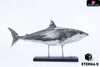 Original Ocean Life Series Shark Model (Licensed) Art Toys - E9 Studio [Pre-Order] Deposit Original Design