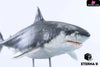 Original Ocean Life Series Shark Model (Licensed) Art Toys - E9 Studio [Pre-Order] Original Design