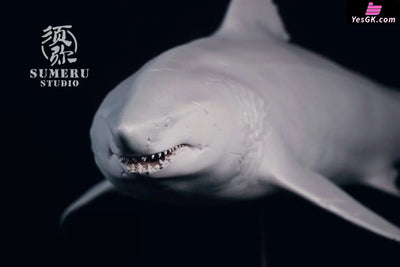 Original Ocean Series Megalodon Statue - Xi Fu Studio [Pre-Order] Original Design