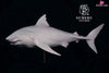 Original Ocean Series Megalodon Statue - Xi Fu Studio [Pre-Order] Original Design