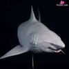 Original Ocean Series Megalodon Statue - Xi Fu Studio [Pre-Order] Original Design