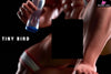 Original Rugby Player RIKKi 1/6 Statue (Licensed) - TINY BIRD Studio [In-Stock] - Full Payment - Original Design
