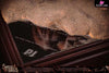 Original Sound Of Sand Statue - Amer Fort Studio [Pre-Order]