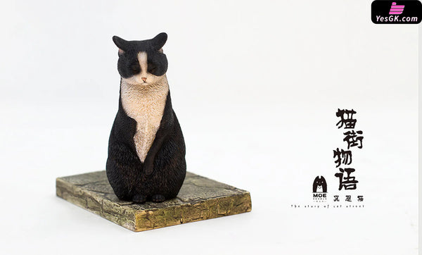 Original The Story of Cat Series Meditation Cat Orange Cat & Calico Cat & Black Cat Art Toys - WeArtDoing Studio