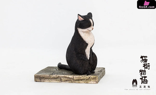 Original The Story of Cat Series Meditation Cat Orange Cat & Calico Cat & Black Cat Art Toys - WeArtDoing Studio