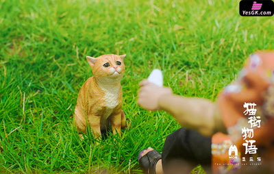 Original The Story of Cat Series Sad Cat Piebald Cat Art Toys - WeArtDoing Studio [In-Stock] - Original Design