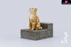 Original The Story of Cat Series Sad Cat Piebald Cat Art Toys - WeArtDoing Studio [In-Stock] - Full Payment / Red