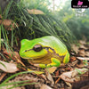 Original Tree Frog Plus Resin Statue - Animal Planet Studio [Pre-Order] Original Design