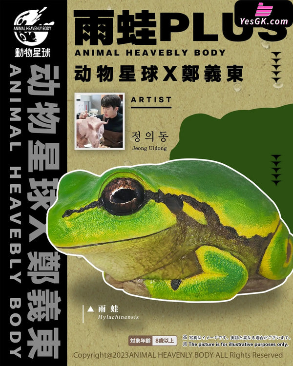 Original Tree Frog Plus Resin Statue - Animal Planet Studio [Pre-Order] Original Design