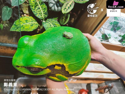 Original Tree Frog Plus Resin Statue - Animal Planet Studio [Pre-Order] Original Design