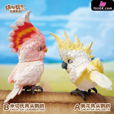 Original What Bird? Series Sunflower Parrot & Mitchell Gk Statue - Animal Bangbang Studio