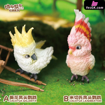 Original What Bird? Series Sunflower Parrot & Mitchell Gk Statue - Animal Bangbang Studio