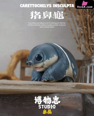 Original Zoo Turtle Big-headed Turtle & Pig-nosed Turtle Statue - Natural Science Book Studio [In-Stock] - Original