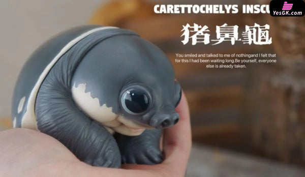 Original Zoo Turtle Big-headed Turtle & Pig-nosed Turtle Statue - Natural Science Book Studio [In-Stock] - Original