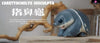 Original Zoo Turtle Big-headed Turtle & Pig-nosed Turtle Statue - Natural Science Book Studio [In-Stock] - Original