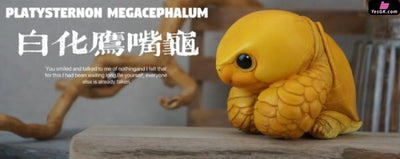 Original Zoo Turtle Big-headed Turtle & Pig-nosed Turtle Statue - Natural Science Book Studio [In-Stock] - Original