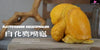 Original Zoo Turtle Big-headed Turtle & Pig-nosed Turtle Statue - Natural Science Book Studio [In-Stock] - Original