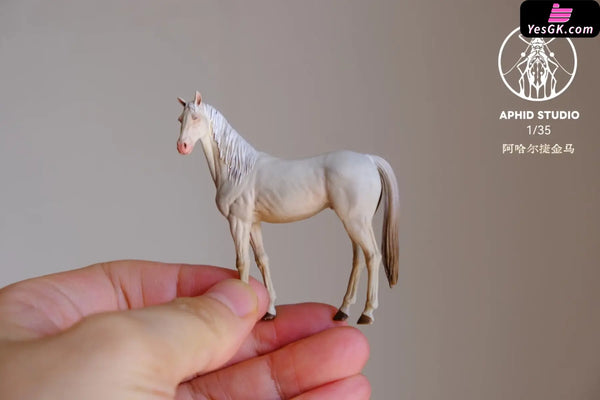 Planet Earth Series 009 Akhal Teke Horse Statue - Aphid Studio [Pre-Order Closed] - Full Payment / 1/35 Scale White