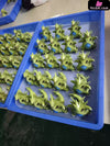 Pokemon 1/20 Pokedex Series Tyranitar Statue - Tong Qu Studio [In-Stock] - Pokemon
