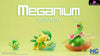 Pokemon Chikorita Bayleef Meganium Resin Statue - Mg Studio [Pre - Order] Deposit / & Pokémon