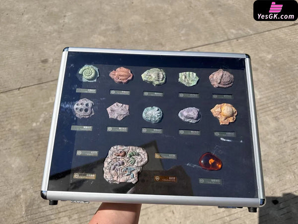 Pokémon Fossil Set Peripheral - Bai Jing Wu Studio [Pre-Order Closed] Pokémon