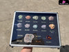 Pokémon Fossil Set Peripheral - Bai Jing Wu Studio [Pre-Order Closed] Pokémon