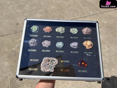 Pokémon Fossil Set Peripheral - Bai Jing Wu Studio [Pre-Order Closed] Pokémon