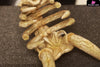 Pokémon Landscape Series Mamoswine skeleton GK Statue - Jiang Studio [Pre-Order] Pokémon