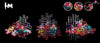 Pokémon Porygon Set GK Statue - LM Studio [Pre-Order Closed] Pokémon