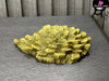 Pokemon Registeel Regirock Regice Statue - Ab Studio [In-Stock] Full Payment Pokémon