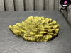 Pokemon Registeel Regirock Regice Statue - Ab Studio [In-Stock] Full Payment Pokémon